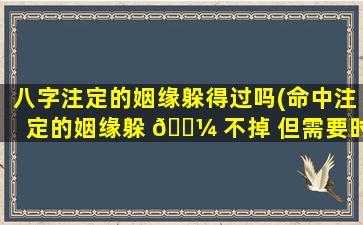 八字注定的姻缘躲得过吗(命中注定的姻缘躲 🐼 不掉 但需要时间)